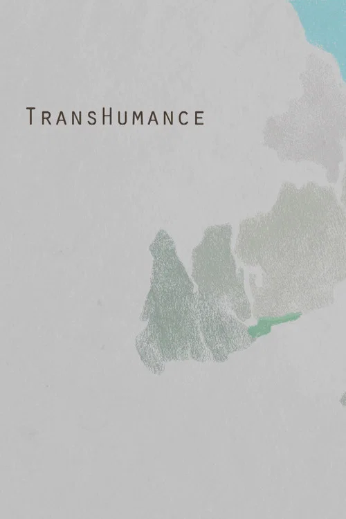 Transhumance постер