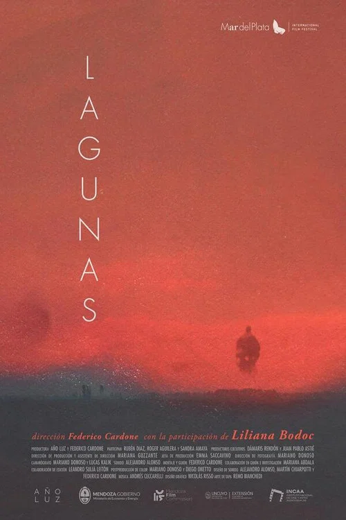 Lagunas постер