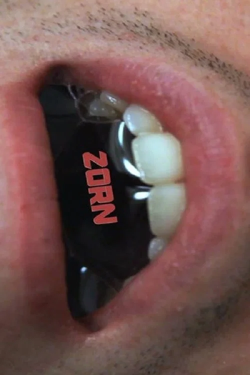 Zorn постер