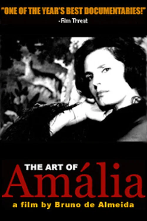 A Arte de Amália постер