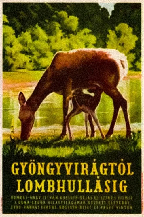 Gyöngyvirágtól lombhullásig постер