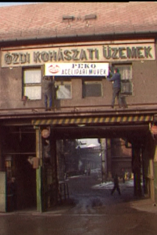 Tehetetlenül постер