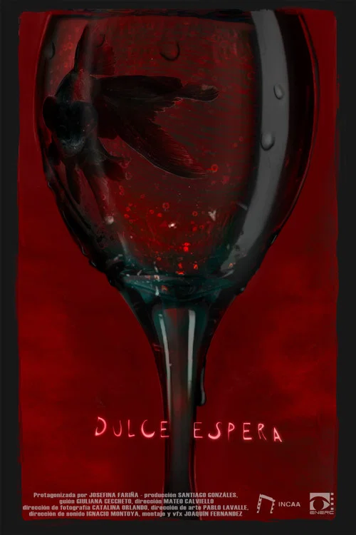 Dulce espera постер