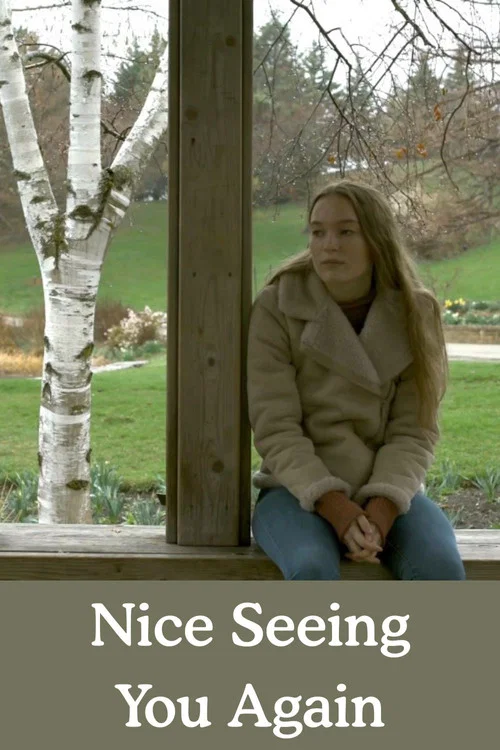 Nice Seeing You Again постер