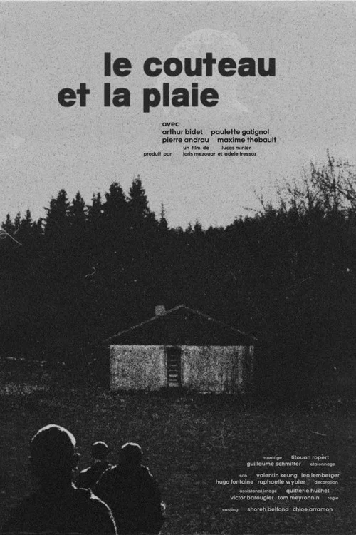Le Couteau et la Plaie постер