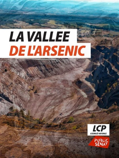La vallée de l'arsenic постер
