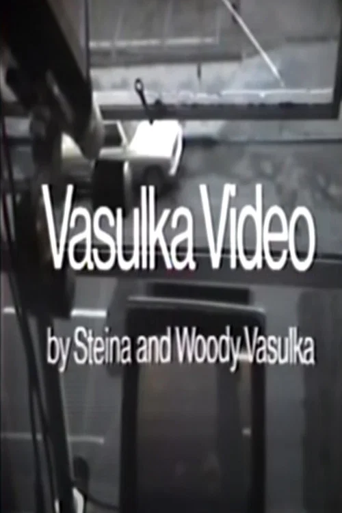 Vasulka Video постер