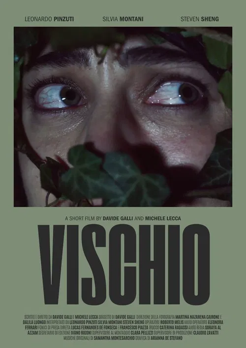 Vischio постер