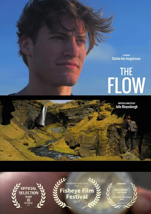 The Flow постер
