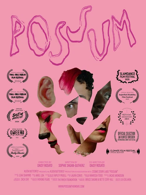 POSSUM постер