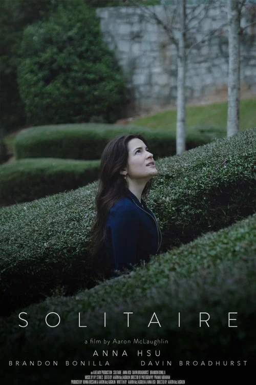 Solitaire постер