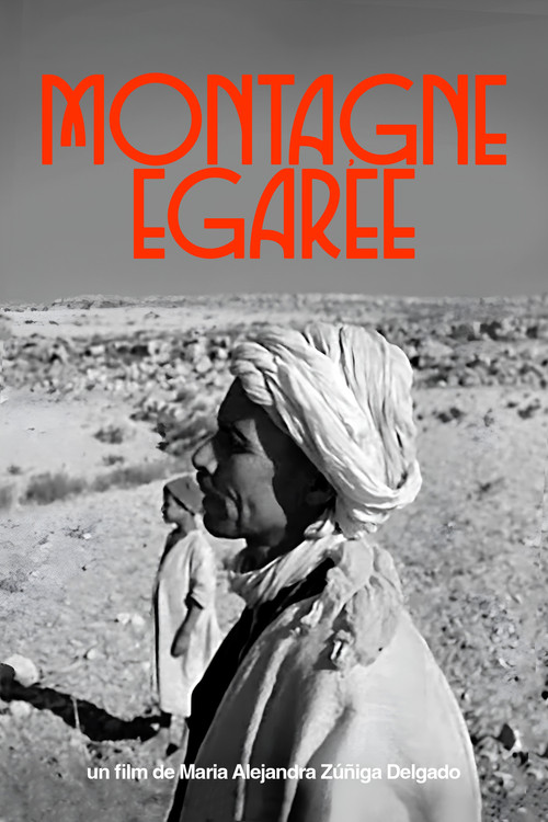 Montagne Égarée постер