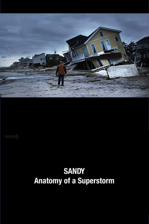 Sandy: Anatomy of a Superstorm постер