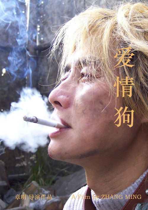 爱情狗 постер