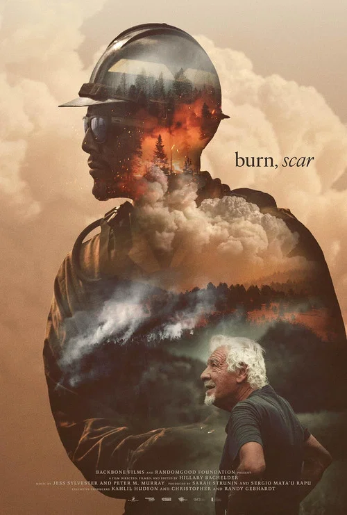 burn, scar постер