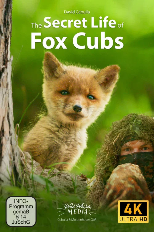 The Secret Life of Fox Cubs постер