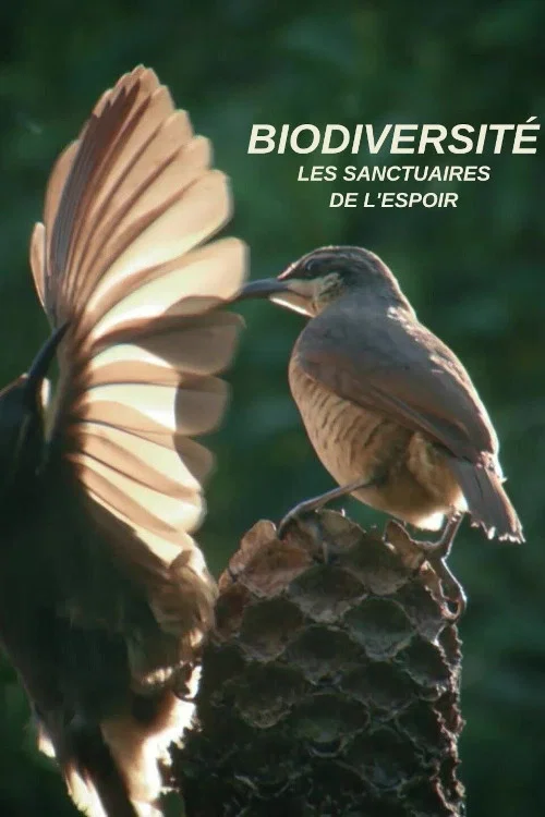 Biodiversité : les sanctuaires de l'espoir постер