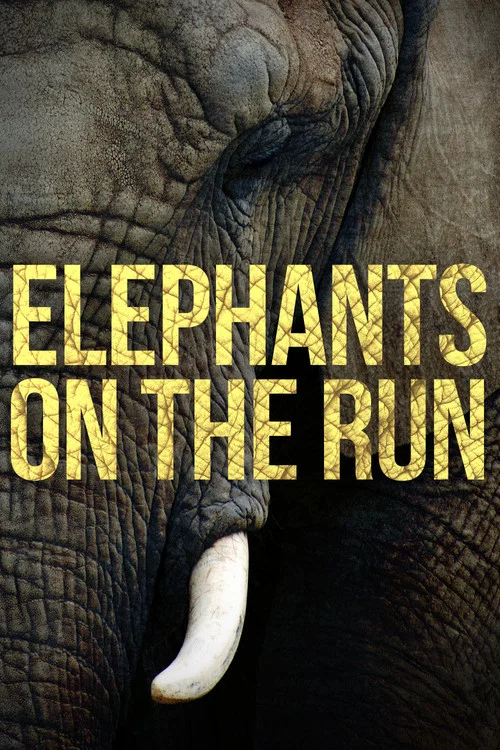 Elephants on the Run постер