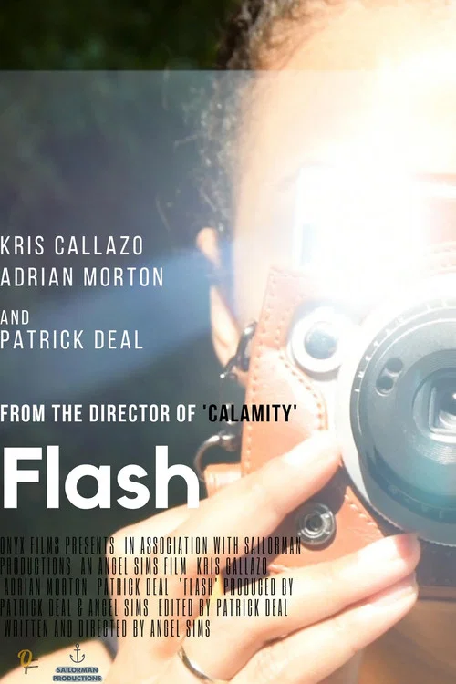 Flash постер