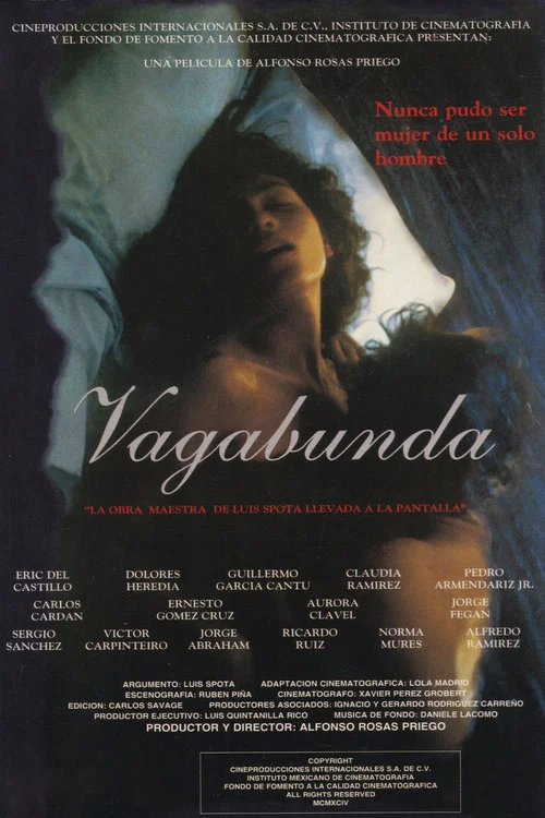 Vagabunda постер