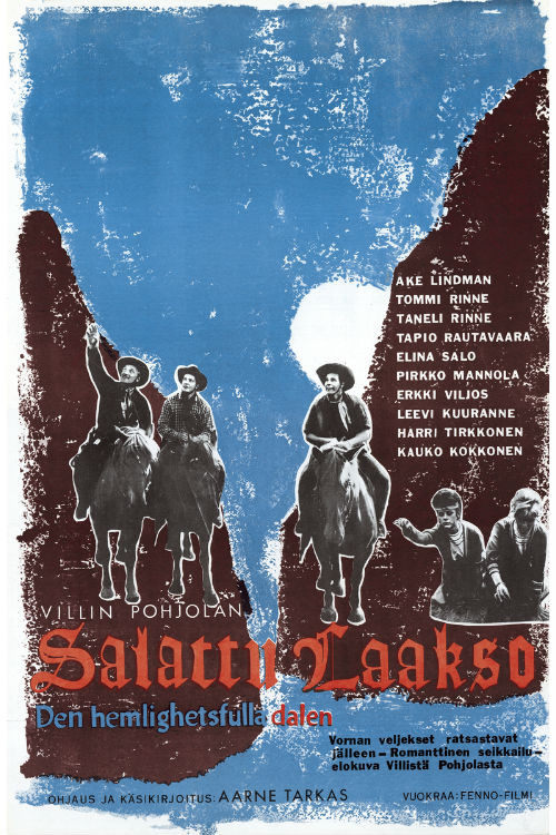 Villin Pohjolan salattu laakso постер