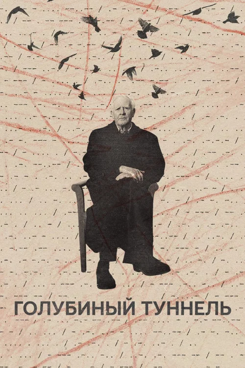 Голубиный туннель постер