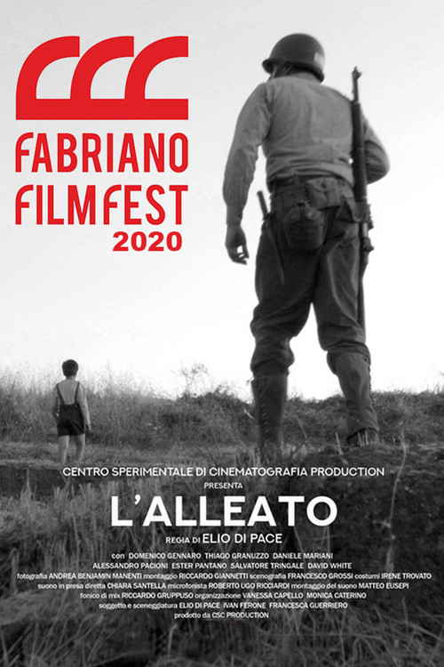 L'alleato постер