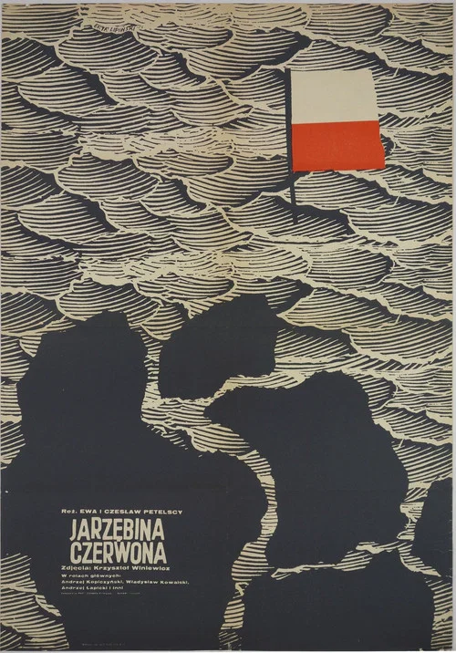 Jarzębina czerwona постер