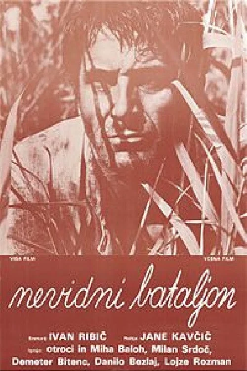 Nevidni bataljon постер