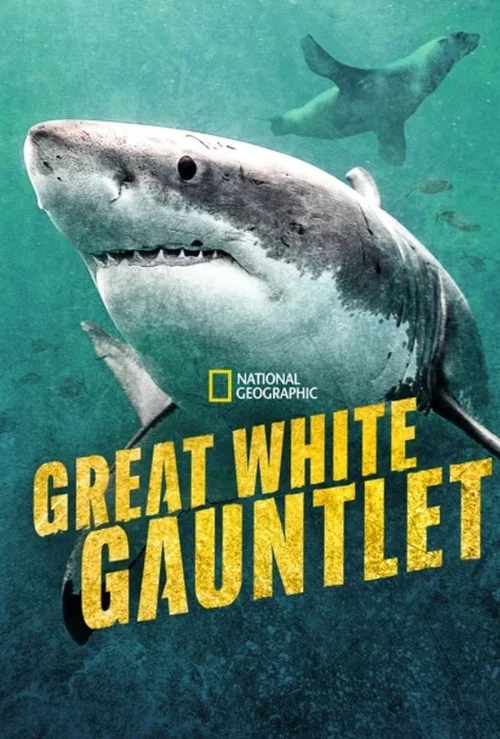 Great White Gauntlet постер