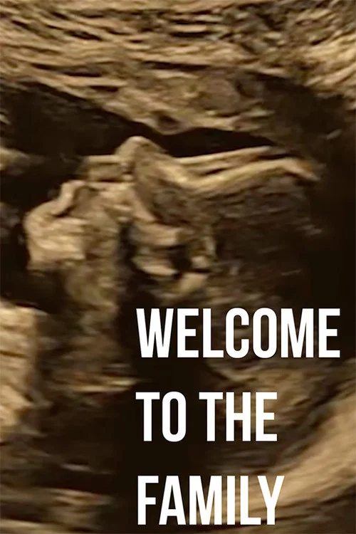Welcome to the Family постер