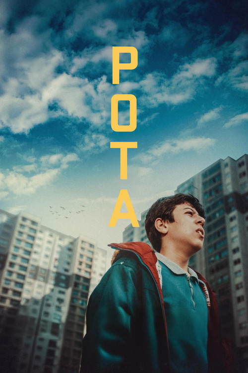 Pota постер