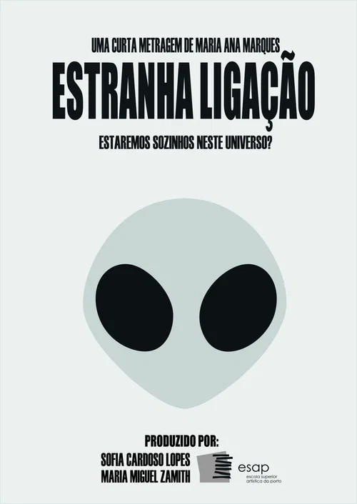 Estranha Ligação постер