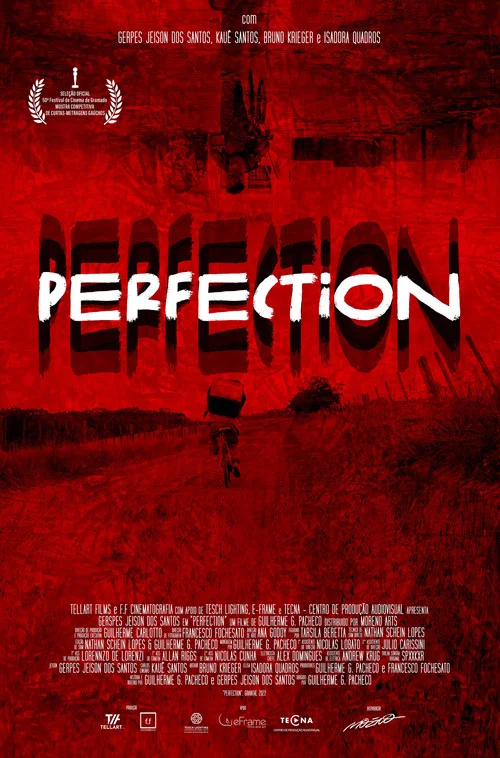 Perfection постер