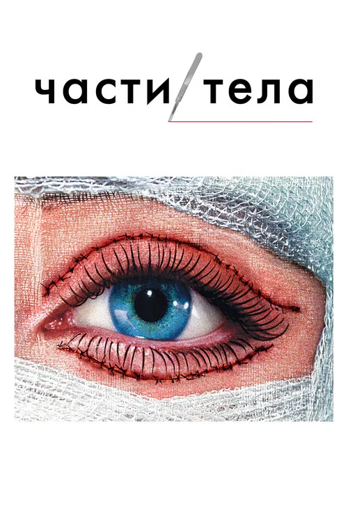 Части тела постер