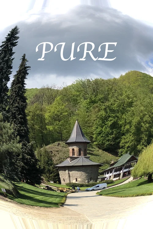 Pure постер