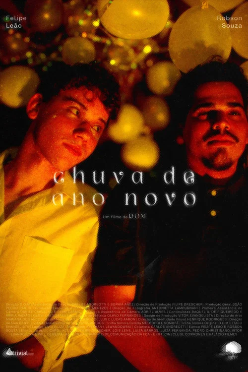 chuva de ano novo постер