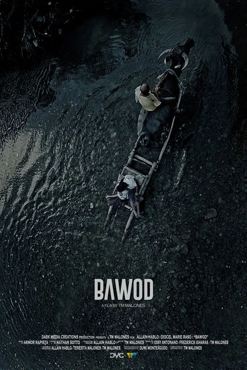 Bawod постер