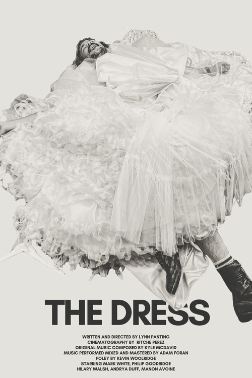 The Dress постер