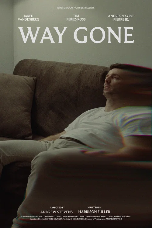 Way Gone постер