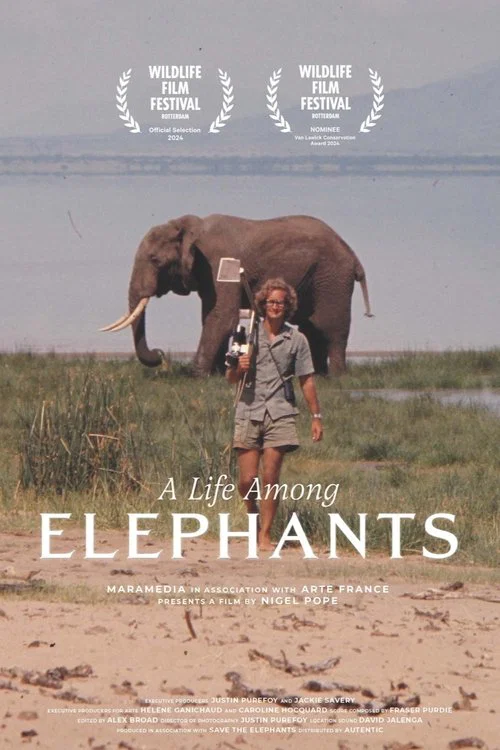 A Life Among Elephants постер