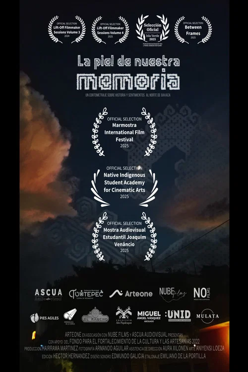La Piel de Nuestra Memoria постер