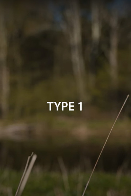 Type 1 постер