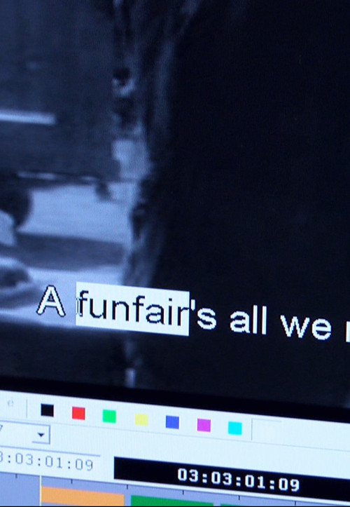 The Art of Subtitling постер
