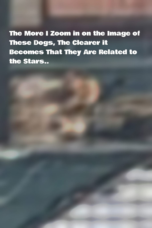 The More I Zoom in on the Image of These Dogs, The Clearer it Becomes That They Are Related to the Stars. постер