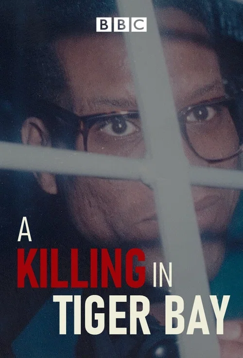 A Killing in Tiger Bay постер