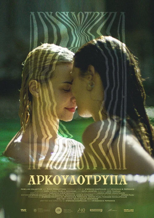 Αρκουδότρυπα постер