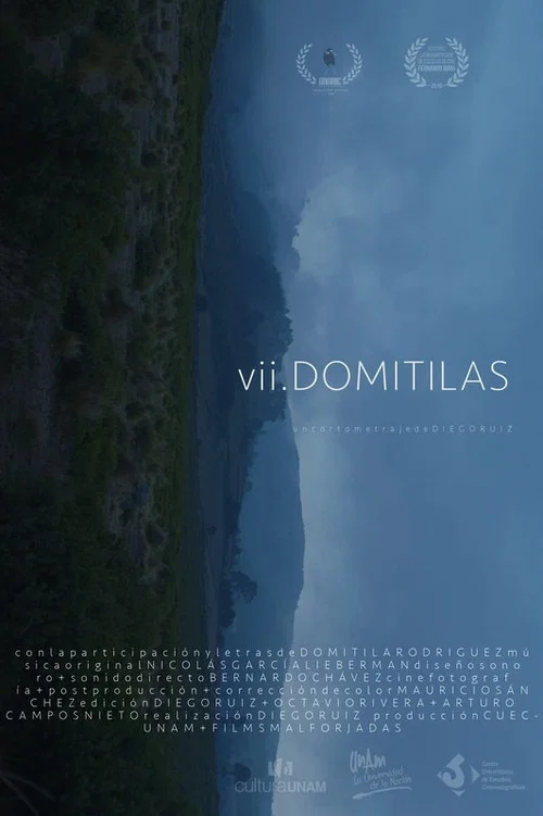 VII Domitilas постер