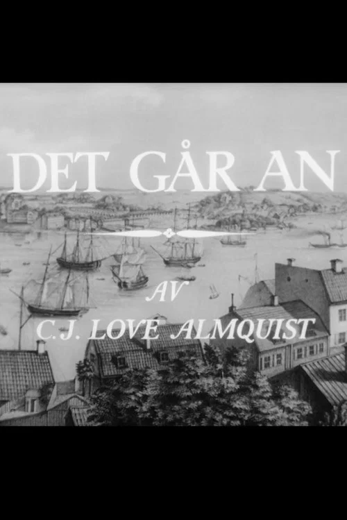 Det går an постер