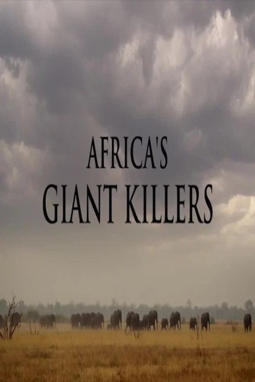 Africa's Giant Killers постер